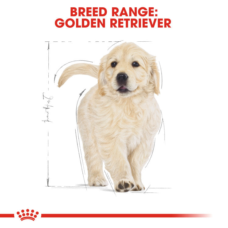 Royal Canin Golden Retriever Puppy