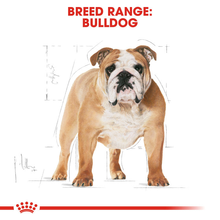 Royal Canin Bulldog Adult 12 KG