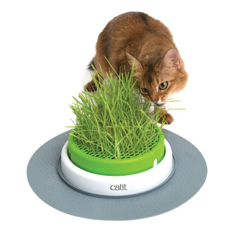 Catit Senses 2.0 Grass Planter - 0