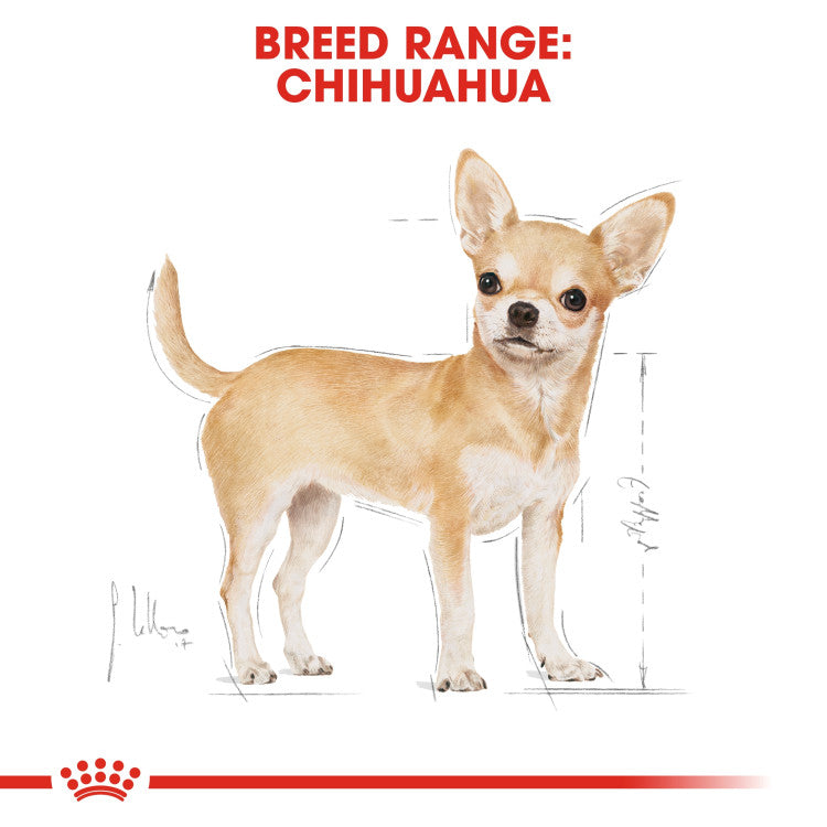 Royal Canin Chihuahua Adult (WET FOOD - Pouches)