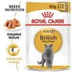 Royal Canin British Shorthair (Wet Food - Pouches) 12 x 85 g