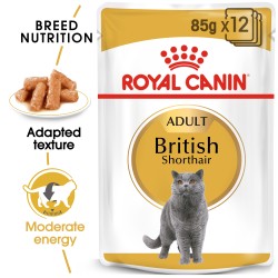 Royal Canin British Shorthair (Wet Food - Pouches) 12 x 85 g