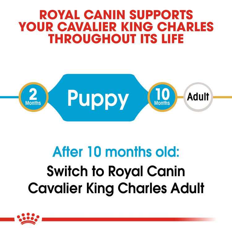 Royal Canin Cavalier King Charles Puppy 1.5 KG