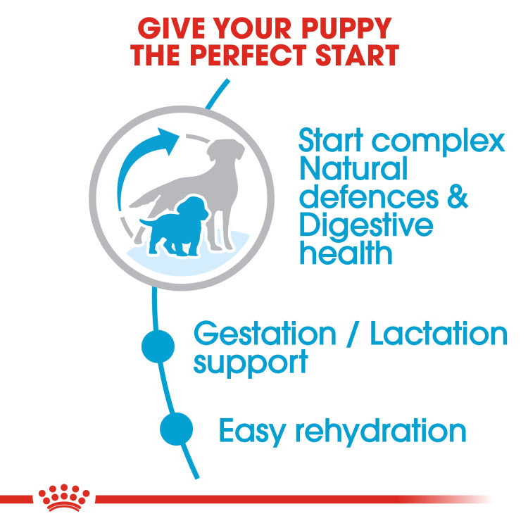 Royal Canin Medium Starter 4 KG