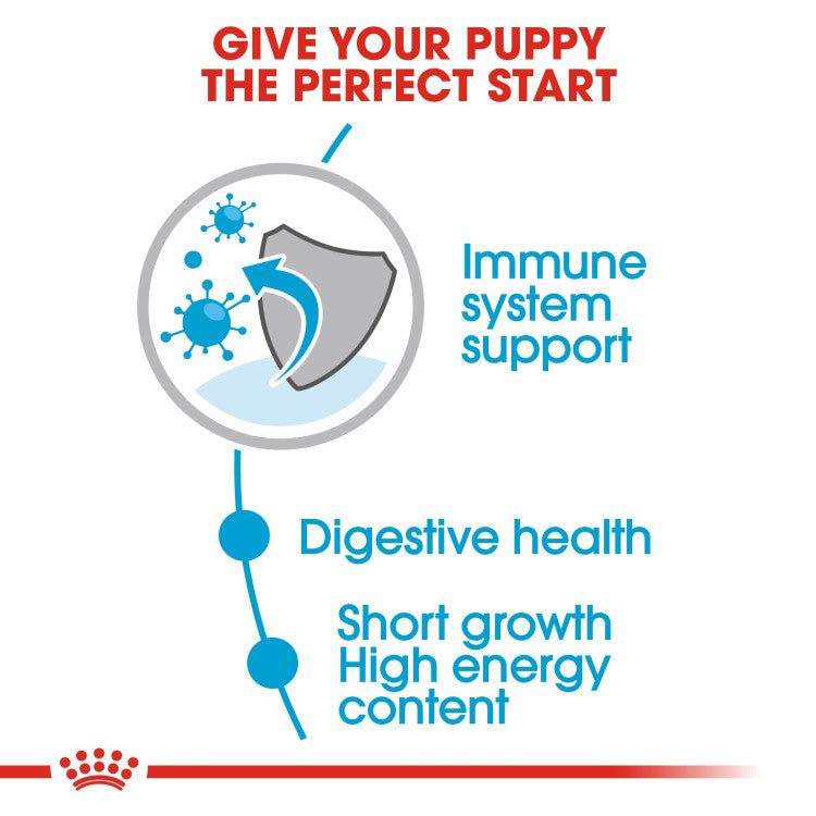 Royal Canin Medium Puppy (WET FOOD - Pouches)