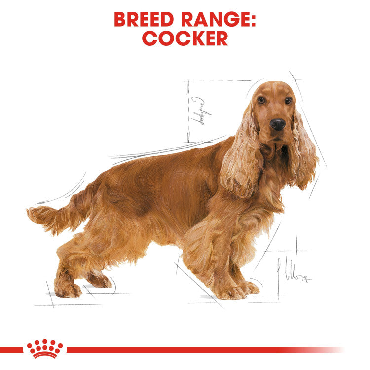 Royal Canin Cocker Adult 3 KG