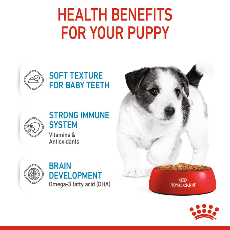 Royal Canin Mini Puppy (WET FOOD - Pouches)