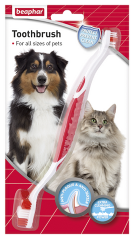 Toothbrush