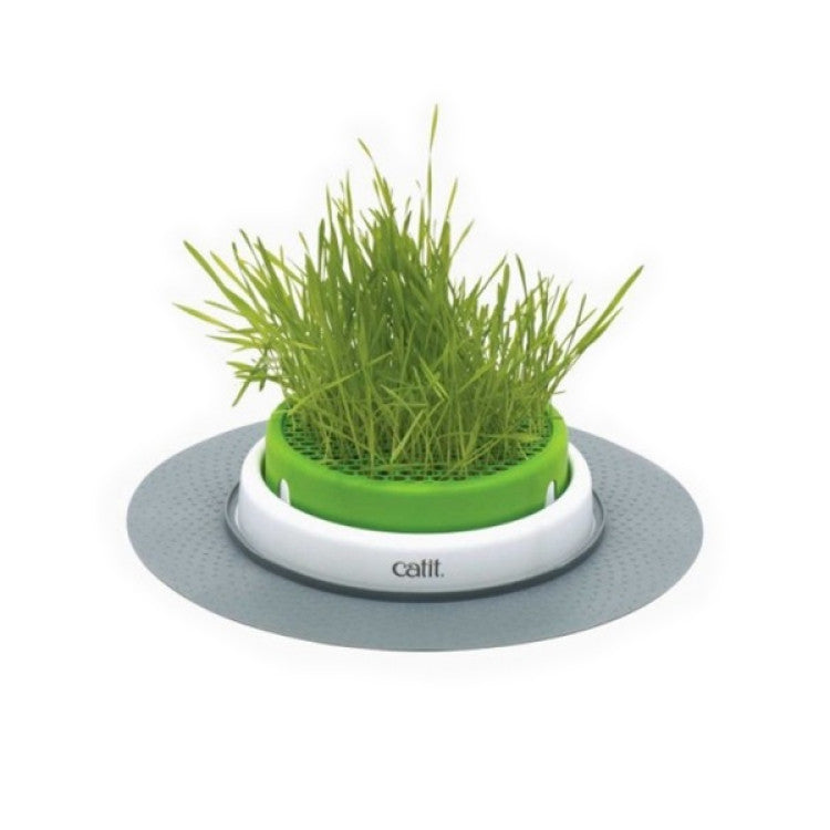 Catit Senses 2.0 Grass Planter