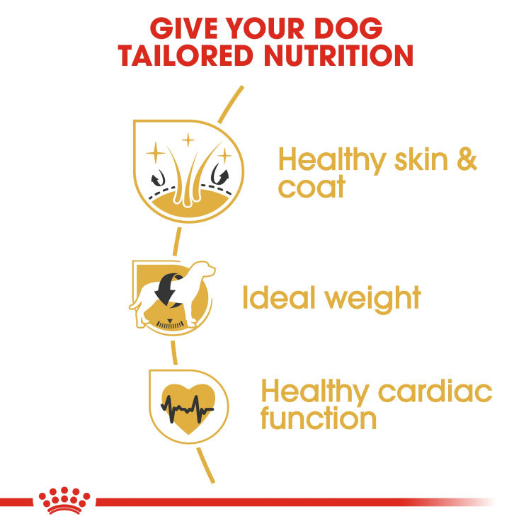 Royal Canin Cocker Adult 3 KG