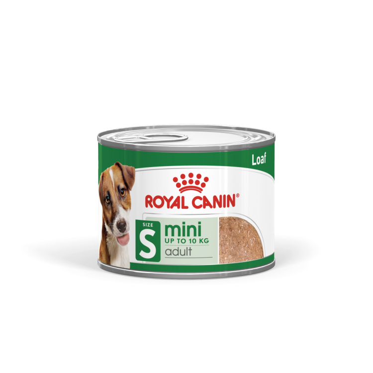 Royal Canin Mini Adult (Wet Food - Can) 12 x 195 g