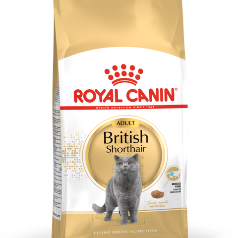 Royal Canin British Shorthair 10 kg