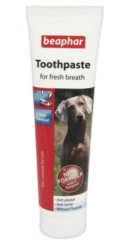 Toothpaste 100 g