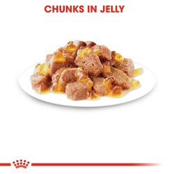 Royal Canin Ageing 12+ Jelly (Wet Food - Pouches) 12 x 85 g