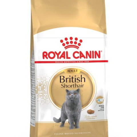 Royal Canin British Shorthair Adult 4 kg