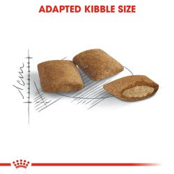 Royal Canin Ageing 12+ Years 2 kg