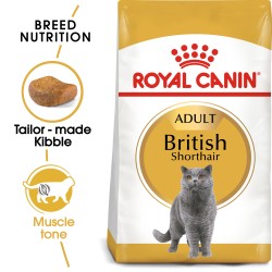 Royal Canin British Shorthair Adult 4 kg