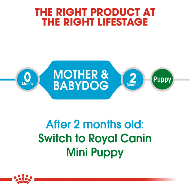 Royal Canin Mini Starter 1 KG