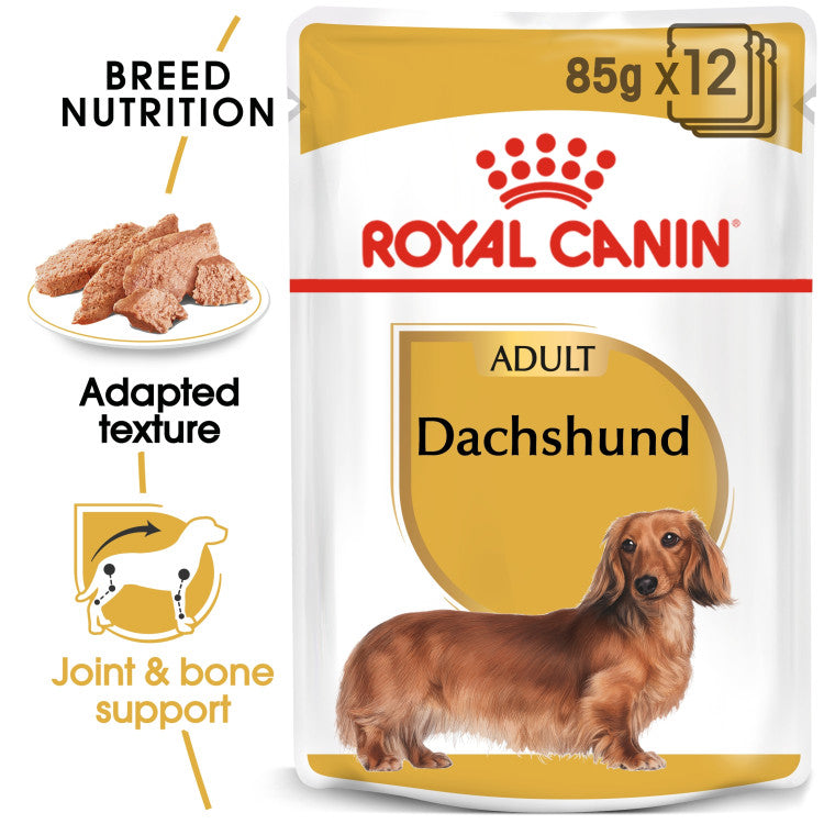 Royal Canin Dachshund Adult (WET FOOD - Pouches)