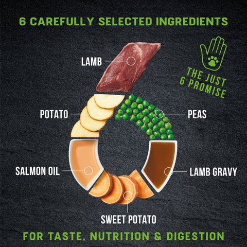 Harringtons Just 6 Lamb Grain Free Adult Dry Dog Food