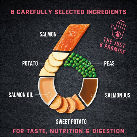 Harringtons Just 6 Salmon Grain Free Adult Dry Dog Food