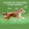 ZIWI Peak Chicken Recipe Wet Dog Food - Image 5
