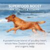 ZIWI Peak Chicken Recipe Wet Dog Food - Image 4