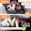 DogsLife Dental Wipes Dog 50pcs - Image 2