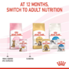 Royal Canin Kitten Sterilised Jelly (WET FOOD - Pouches) 12 x 85g - Image 3