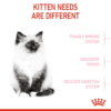 Royal Canin Kitten 2 KG - Image 3