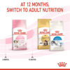 Royal Canin Kitten 2 KG - Image 6