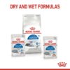 Royal Canin Indoor 7+ (WET FOOD - Pouches) 12 x 85g - Image 6