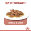 Royal Canin Indoor 7+ (WET FOOD - Pouches) 12 x 85g - Image 5