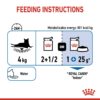Royal Canin Indoor Jelly (WET FOOD - Pouches) 12 x 85g - Image 9