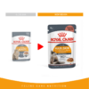 Royal Canin Hair & Skin Gravy (WET FOOD - Pouches) 12x85g - Image 2