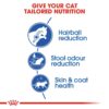 Royal Canin Indoor Long Hair 2 KG - Image 4