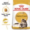Royal Canin Maine Coon Adult 2 KG - Image 7