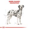 Royal Canin Dalmatian Adult 12 KG - Image 3