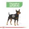 Royal Canin Digestive Care (WET FOOD - Pouches) 12 x 85g - Image 2