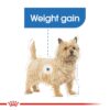 Royal Canin Light Weight Care (WET FOOD - Pouches) 12 x 85g - Image 4