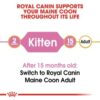 Royal Canin Maine Coon Kitten 2 KG - Image 7