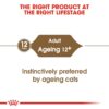 Royal Canin Ageing 12+ Jelly (WET FOOD - Pouches) 12 x 85g - Image 3