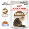 Royal Canin Ageing 12+ Jelly (WET FOOD - Pouches) 12 x 85g