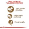 Royal Canin Ageing 12+ Jelly (WET FOOD - Pouches) 12 x 85g - Image 4