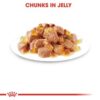 Royal Canin Ageing 12+ Jelly (WET FOOD - Pouches) 12 x 85g - Image 5