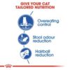 Royal Canin Indoor Appetite Control 2 KG - Image 6