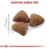 Royal Canin Indoor - Image 3