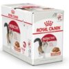 Royal Canin Instinctive Adult Cats Gravy (WET FOOD - Pouches) 12 x 85g - Image 7