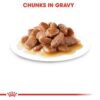 Royal Canin Instinctive Adult Cats Gravy (WET FOOD - Pouches) 12 x 85g - Image 6