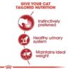 Royal Canin Instinctive Adult Cats Gravy (WET FOOD - Pouches) 12 x 85g - Image 4